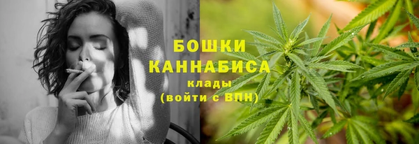 2c-b Вяземский