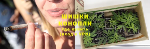молекула духа Вязники