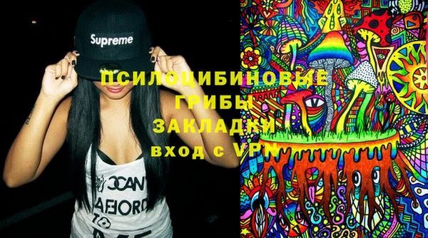 молекула духа Вязники